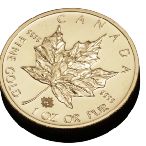 Maple Leaf 1oz guldmønt (2013)