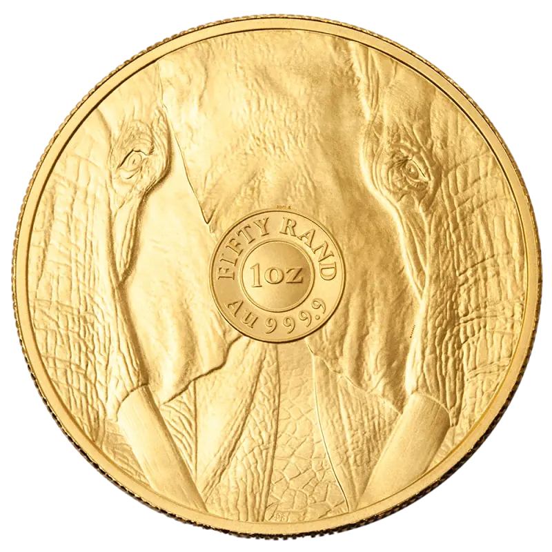 Big Five Elefant 1oz guldmønt (2025)