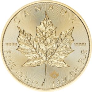Maple Leaf 1oz guldmønt (2024)